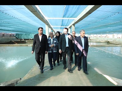 «مجتمع قره‌برون» در منطقه آزاد مازندران؛ نمونه‌ای موفق از زنجیره کامل تولید تا صادرات در بخش شیلات