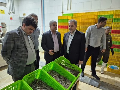 بررسی ظرفیتهای شیلاتی جنوب کرمان و هرمزگان