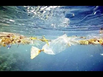 فائو و شیلات ایران در مسیر ایجاد کاهش آلودگی صیادی در دریا