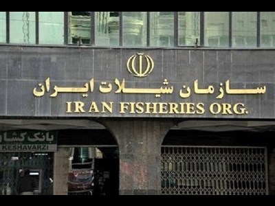 ضرورت تخصیص هدفمند بودجه‌های شیلاتی با توجه به محدودیت منابع
