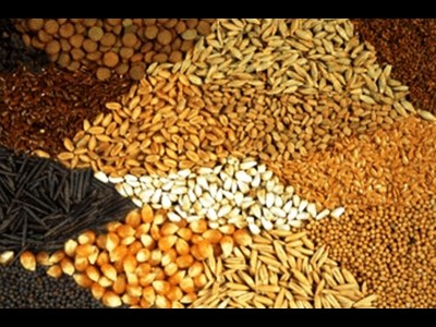 کاهش بارگیری کالاهای خریداری شده از بنادر اوکراین و روسیه