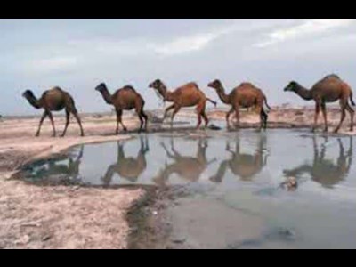 امیدواری برای احیای تاب‌آوری اقلیمی و توسعه اکوتوریسم  دریامحور