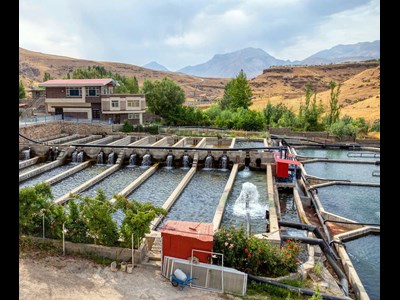 چهارمحال و بختیاری؛ رکورد دار ارزآوری شیلات ایران