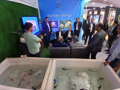 شیلات خراسان جنوبی در مسیر توسعه تجارت با افغانستان