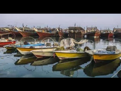 توسعه بنادر ماهیگیری؛ خط مقدم حمایت از جامعه محلی ساحلی