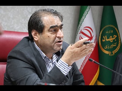 آغاز خرید حمایتی مرغ از ۲۳ شهریور ماه