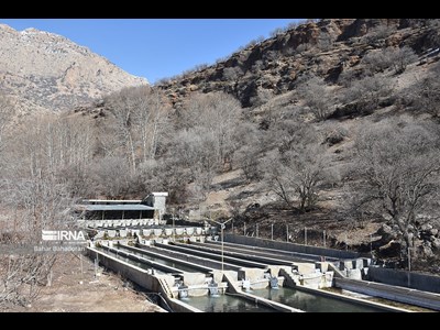 برگزاری دومین جلسه کمیته تخصصی شیلات در شهرستان فریدونشهر