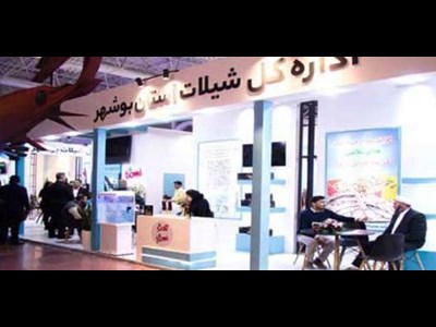 شیلات ایران در مسیر نوآوری و بهره‌وری