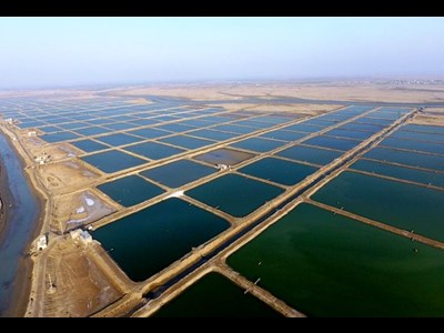 زیرساختهای لازم جهت سرمایهگذاری در حوزه شیلات خوزستان فراهم است