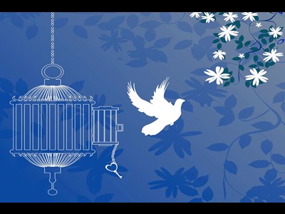 آزادی تمامی مادران زندانی جرائم مالی غیرعمد تا سقف 250 میلیون تومان به همت بانک پارسیان