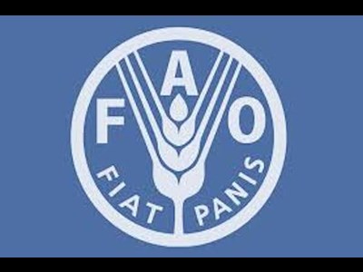 فائو از اجرای توافق‌نامه یارانه‌های شیلات WTO استقبال کرد