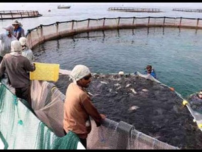 ۷راهبرد برای عبور  از چالش‌های اجرای طرح‌های اقتصاد دریامحور