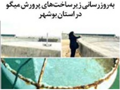 به‌روزرسانی زیرساخت‌های پرورش میگو در استان بوشهر