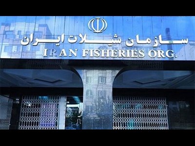 اتحادیه آبزیان: شیلات را قربانی تصمیمات غیرکارشناسی نکنید