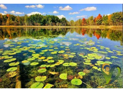 بازتولید چرخه‌ تخریب و فقر در حاشیه تالاب‌های ایران