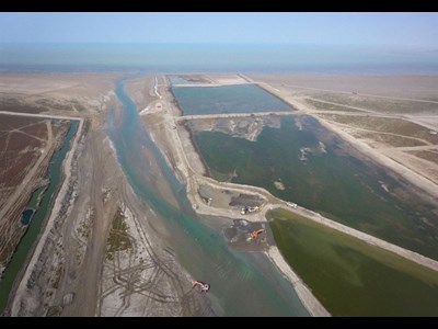 مرگ خاموش یک زیستبوم استراتژیک