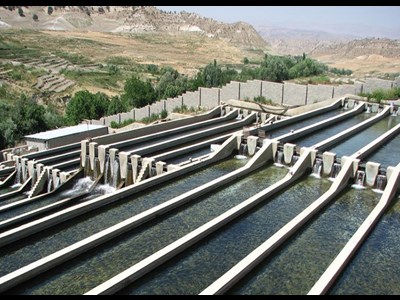 اشتغالزایی برای بیش از18 هزارنفر در بخش آبزی پروری استان تهران