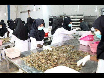 ایجاد ۴ هنرستان وابسته به شیلات در خوزستان در دستور کار