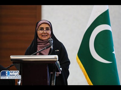 خطوط مستقیم کشتیرانی میان بنادر ایران و پاکستان راه‌اندازی می‌شود