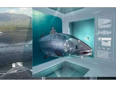 ضرورت بهره‌گیری صنعت شیلات  از هوش مصنوعی و تکنولوژی روز