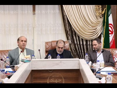 صادرات تک‌گونه‌ای ماهی کپور، آسیب جدی به صنعت شیلات است