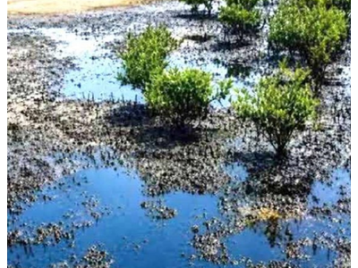 ردپای نفت روی آب‌های جنگ‌زده هرمز