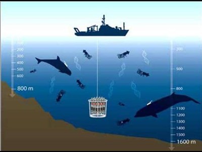 صیانت از نام خلیج‌فارس با دیپلماسی علمی-فرهنگی