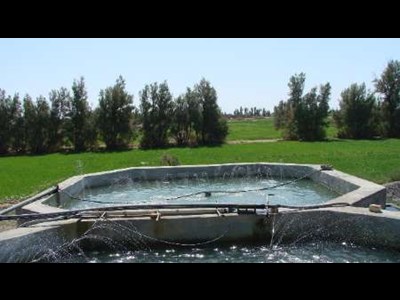 بررسی ظرفیت‌های شیلاتی سیستان و بلوچستان در دیدار مدیرکل شیلات استان با نماینده مردم زاهدان