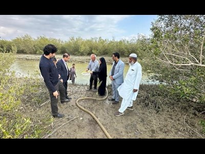 دومین مرحله رهاسازی بچه‌میگوهای بومی دریای عمان در کنارک