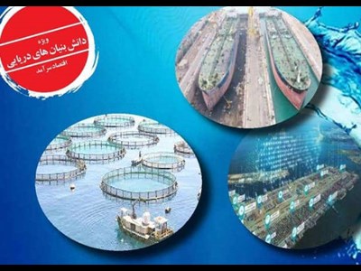 میدان داری دانش بنیان ها  در توسعه دریایی ایران