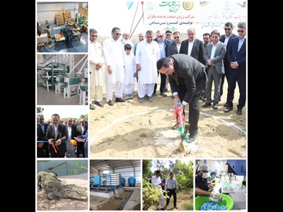 بزرگترین کارخانه تولید کنسرو تن ماهی کشور در چابهار کلنگزنی شد