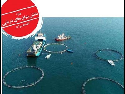 دانش‌بنیان‌های دریایی به کمک تامین امنیت غذایی می‌آیند