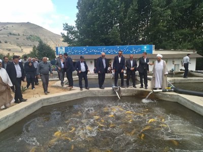افتتاح طرح پرورش ماهی سردآبی در کلاردشت