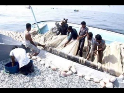 چالش‌ها ی پیش‌روی تعاونی  ها در حوزه دریایی