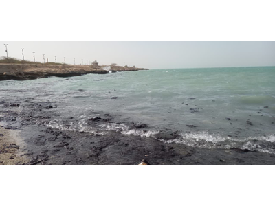 جولان لکه‌های نفتی در سواحل خلیج‌فارس+ عکس