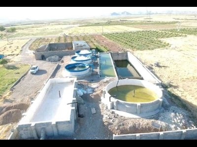 گام مشترک شیلات و فولاد غرب برای توسعه آبزیپروری در منطقه آزاد ارس