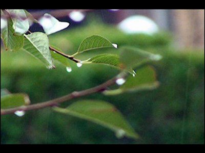 بارندگی در شمال‌غرب، استان‌های ساحلی خزر، دامنه‌های جنوبی البرز و زاگرس
