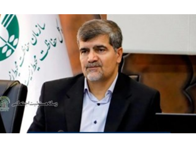 نظام‌نامه ملی، پایان اقدامات پراکنده در مسئولیت اجتماعی