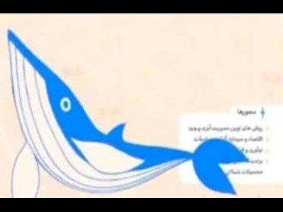 ترسیم آینده اقتصاد شیلات ایران در قشم