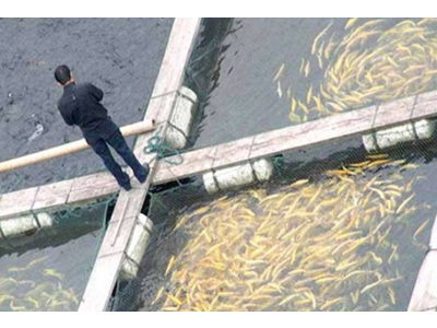 چالش‌های پیش روی اشتغال پایداردر صنعت شیلات