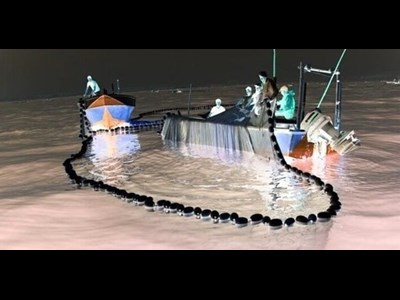 برخورد قاطع یگان حفاظت با صید مخرب شبچراغی در جاسک