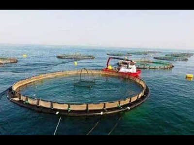 رونق اقتصاد شیلاتی همچنان در گرو تامین مالی