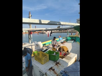 لنج فاقد هویت با ۲۵۰ کیلوگرم صید غیرمجاز در جاسک توقیف شد