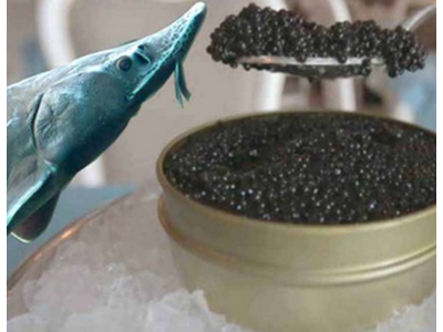 چالش‌های پیش روی صادرات خاویار ایران