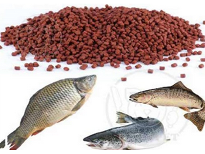 رونق اقتصاددریا در استان‌ غیرساحلی چهارمحال و بختیاری