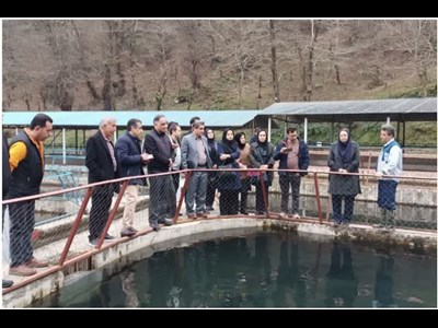 ارتقای دانش فنی شیلات قزوین با سفر تخصصی به قلب صنعت خاویار ایران