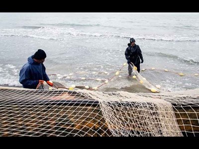 امسال؛ صیادان کشور تحت پوشش بیمه دولتی قرار می‌گیرند