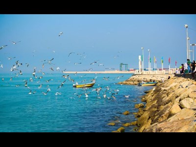 ضرورت بهره گیری از ظرفیت منطقه آزاد بوشهر در صنعت گردشگری