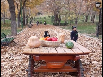 ایجاد گذر برگ ریزان (گذر پاییزی) در بوستان های شاخص  منطقه سه تهران