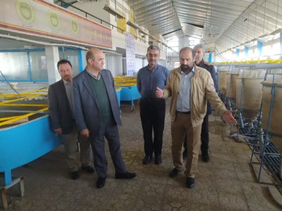 استمرار حرکت جهادی در اجرای ماموریت های اداره کل شیلات گیلان